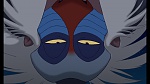 The Lion King 1 1/2 : Hakuna Matata picture