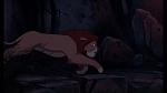 Image The Lion King 1 1/2 : Hakuna Matata