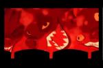 Vidéos de Le Roi Lion 3 : Hakuna Matata