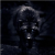 Werewolftg5