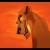 Zira1