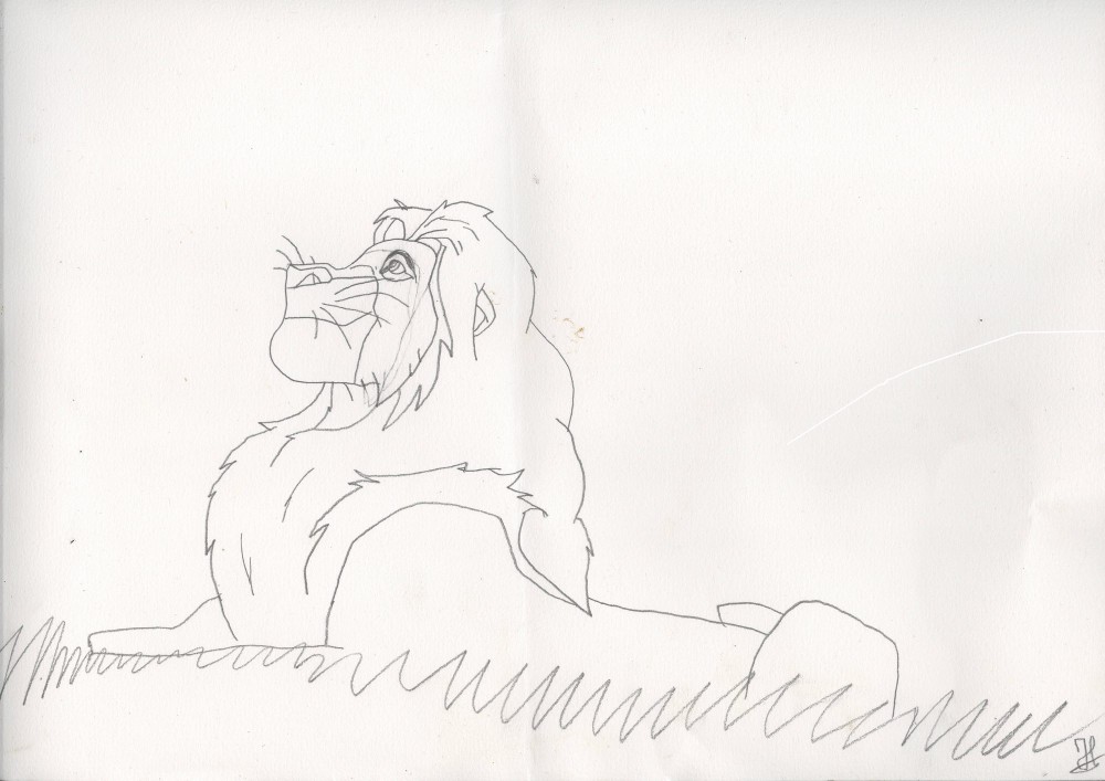Mufasa sous les étoiles