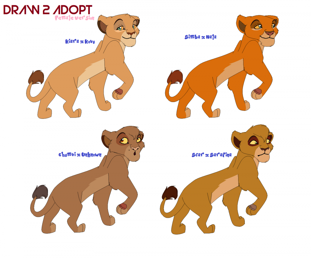 Draw to Adopt: Females