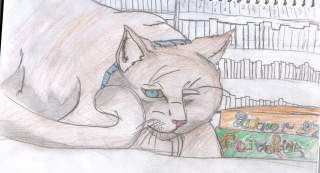Kitty!