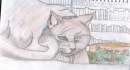 Kitty!