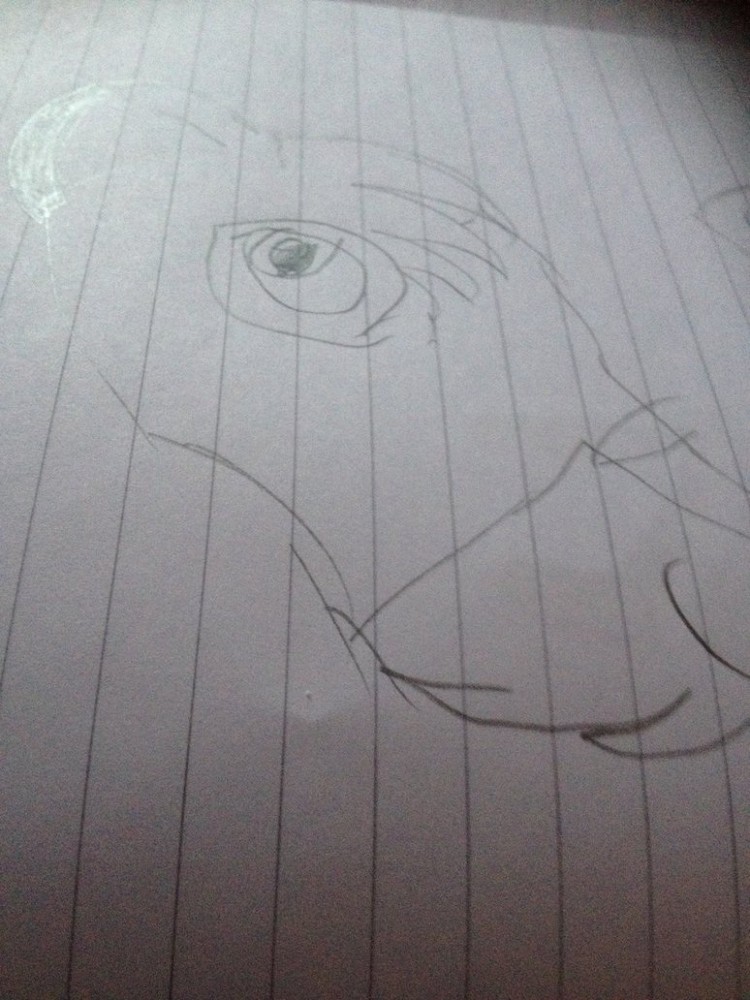 My 1st ever attempt at simba