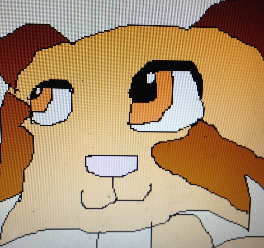 Gift for Pawface