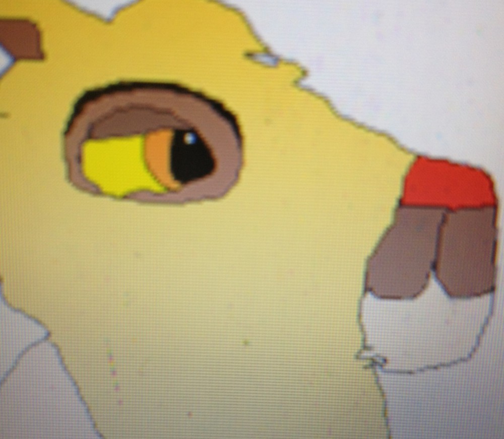 Safi ~