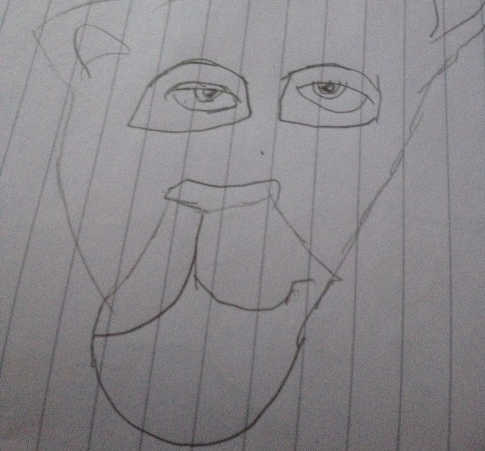 Nala drawing