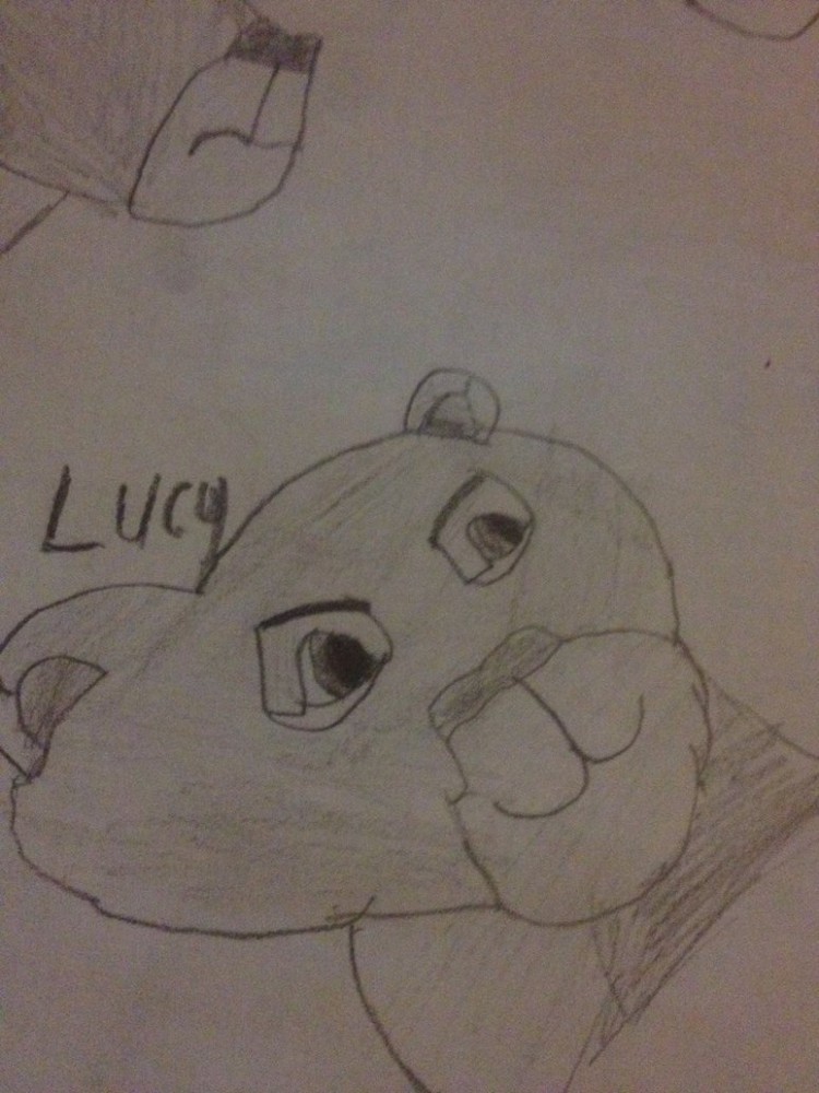 Lucy drawing / sketch