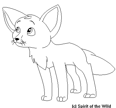 Fennec Fox Base