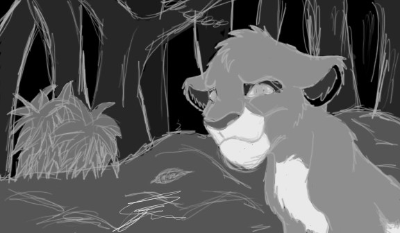 Smile-Rough Draft