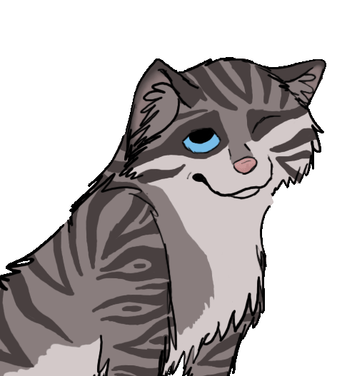 It's A Cat...
