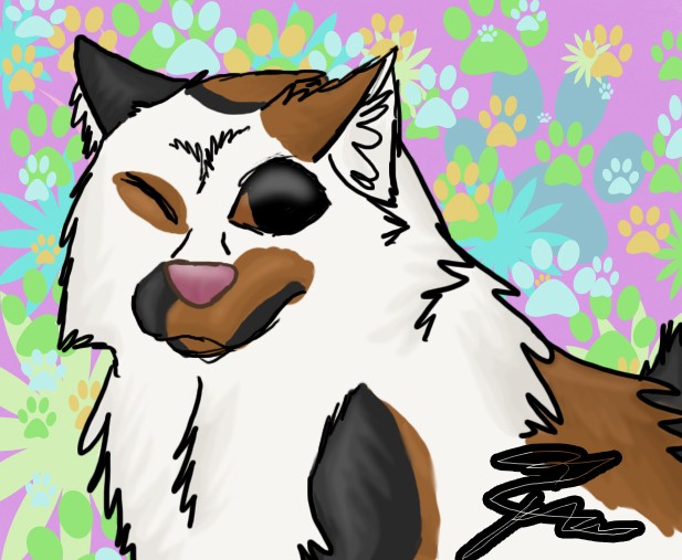 It's A CalicoXSiberian