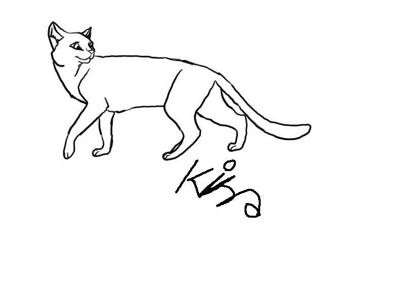Cat Lineart