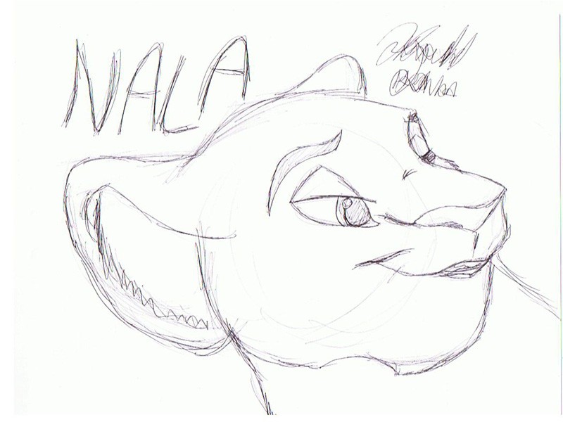 Nala Doodle