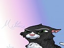 Mittenz :DD