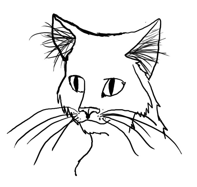 Cat Lineart #2