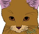 Random Cat-For Cassiecat