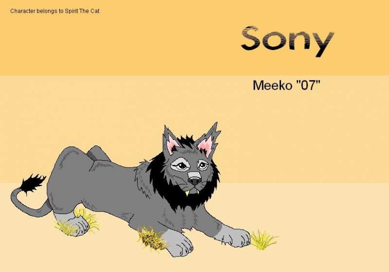 Sony