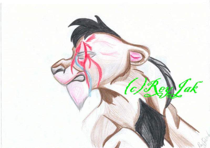 Scar's Past
