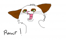 Kitty