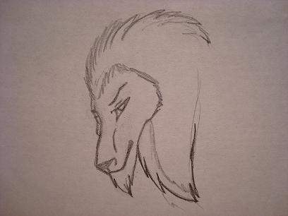 	wierd lion