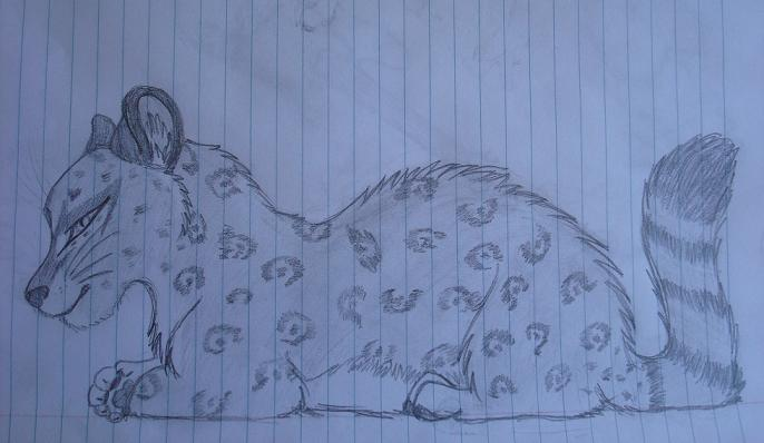 leopard