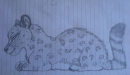 leopard