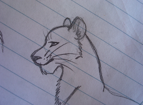 doodle