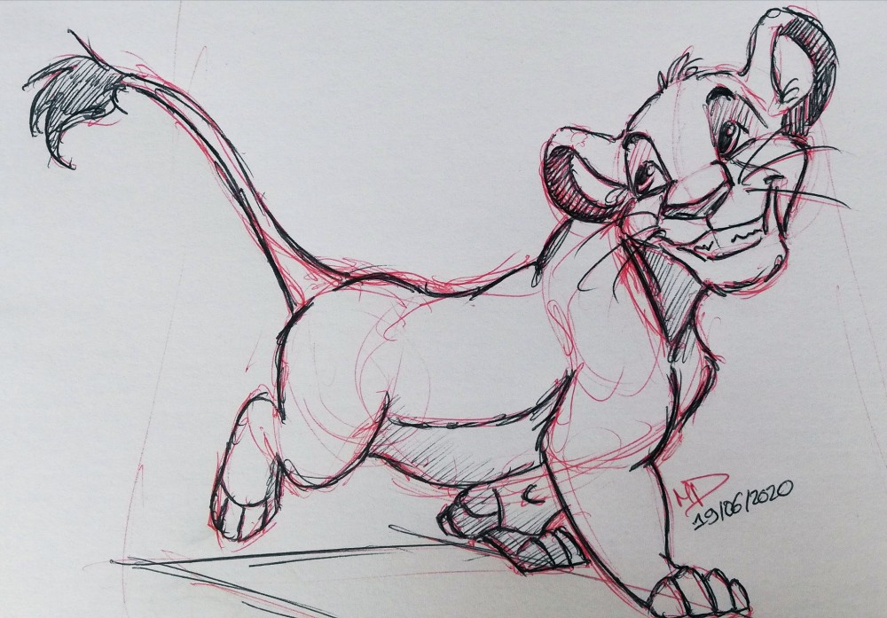 Simba_Training sketch