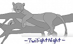 TwilightNight