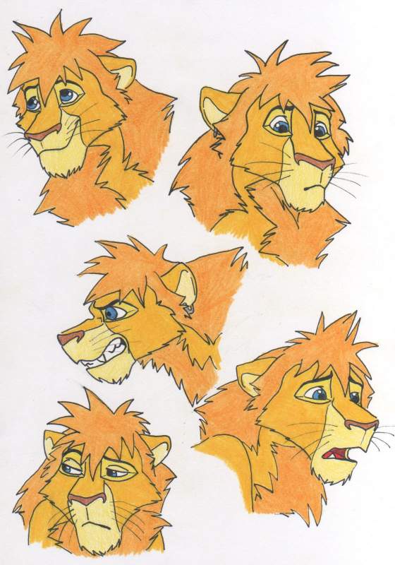 Lion Faces