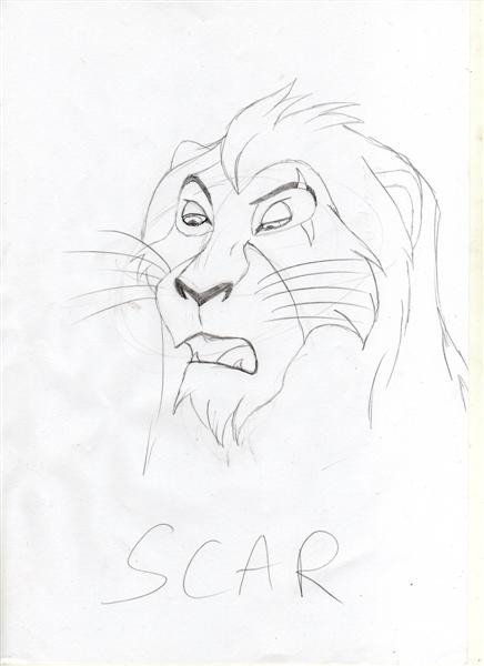 Scar 1