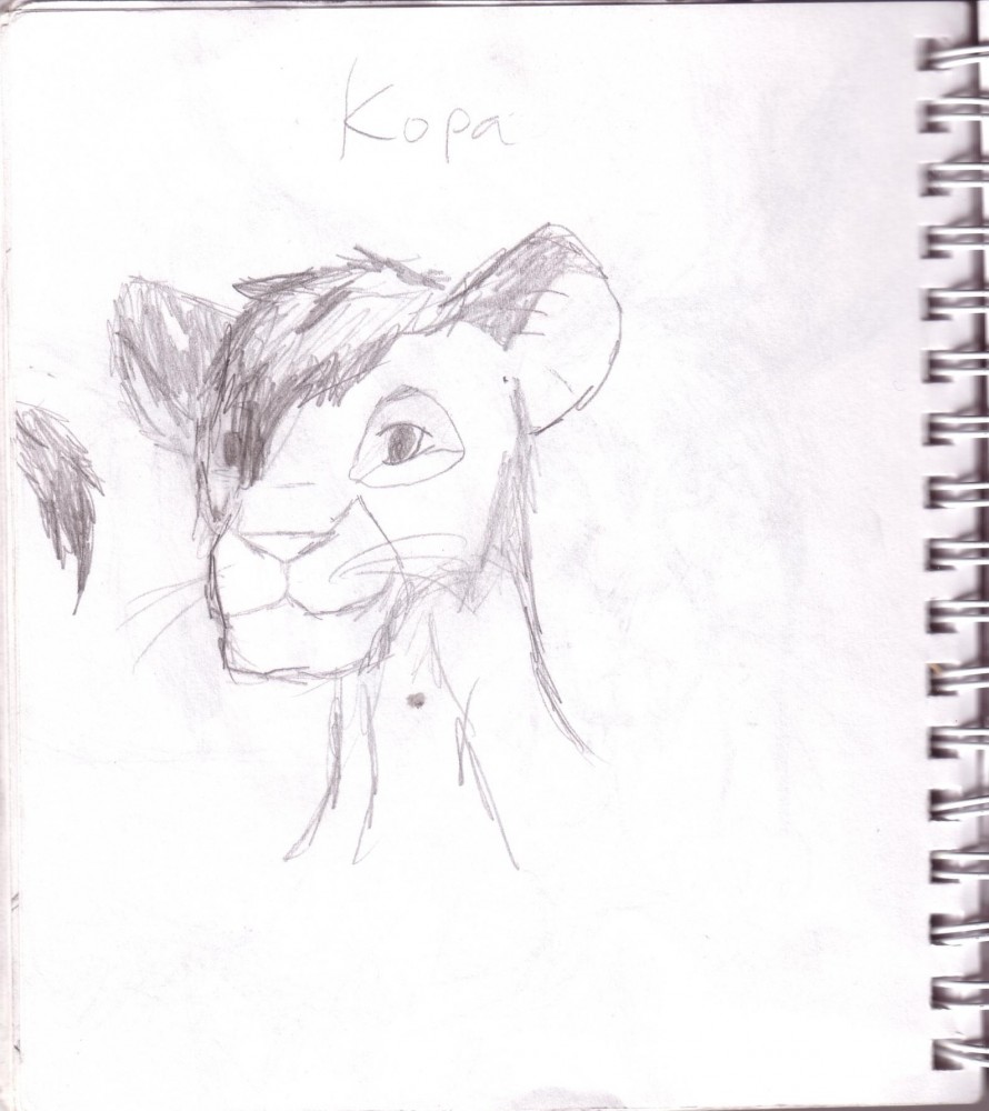 Kopa