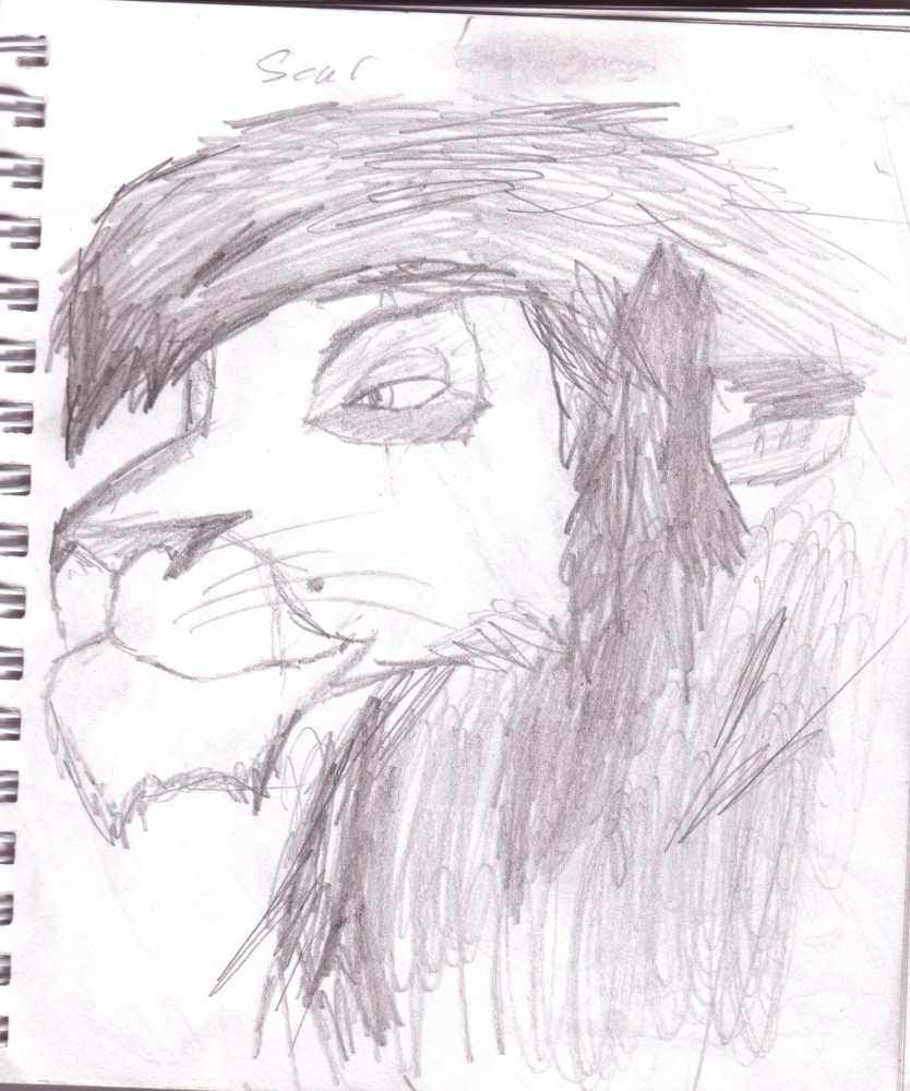 Scar adulte