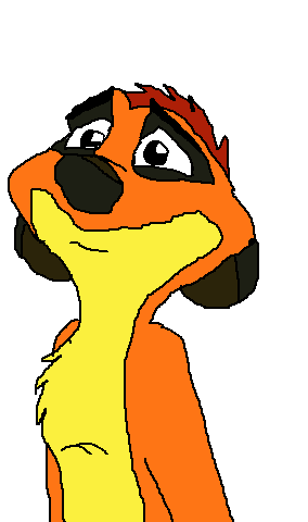 Timon