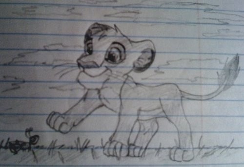 Simba and Grasshopper