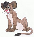 Tawa profile
