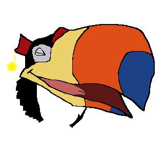 Toucan dan