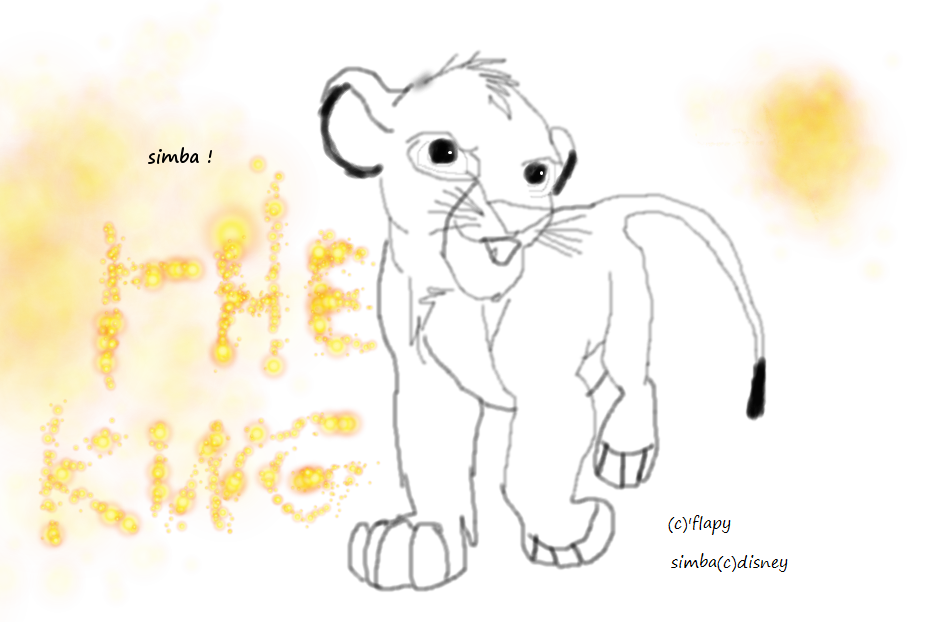 simba the king !