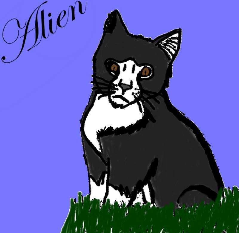 Alien