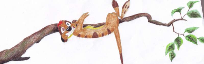 Timon