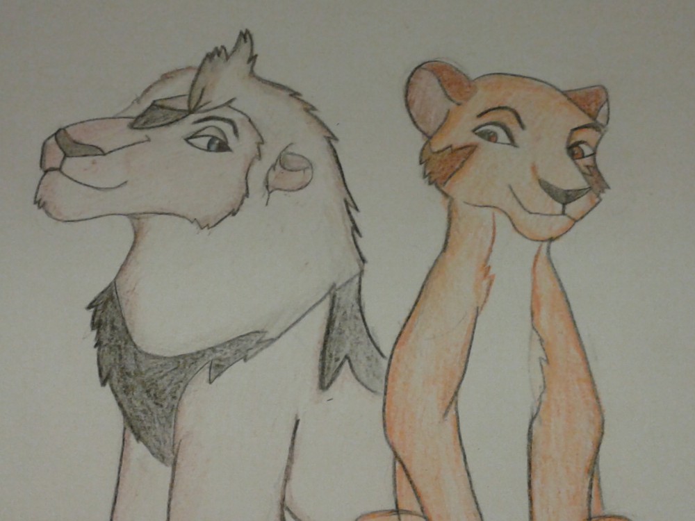 prize for Pawface 2#