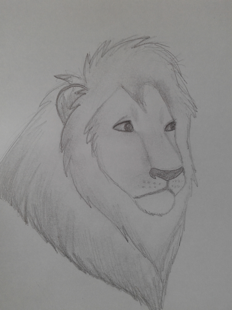 realistic Kopa
