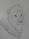 realistic Kopa