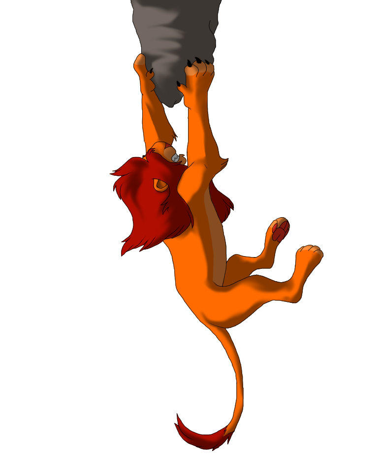 Hold on SImba!