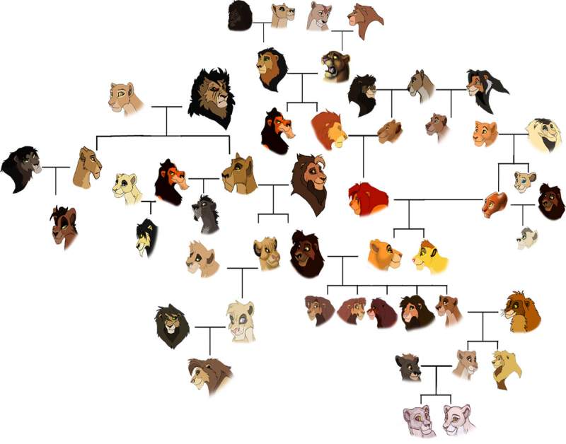 TLK family Tree