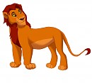 Teen Mufasa