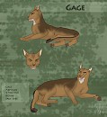 Gage Profile